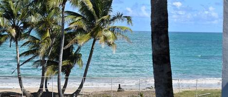 Sun loungers, beach towels