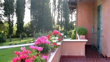 DĂ©tail de lâextĂ©rieur