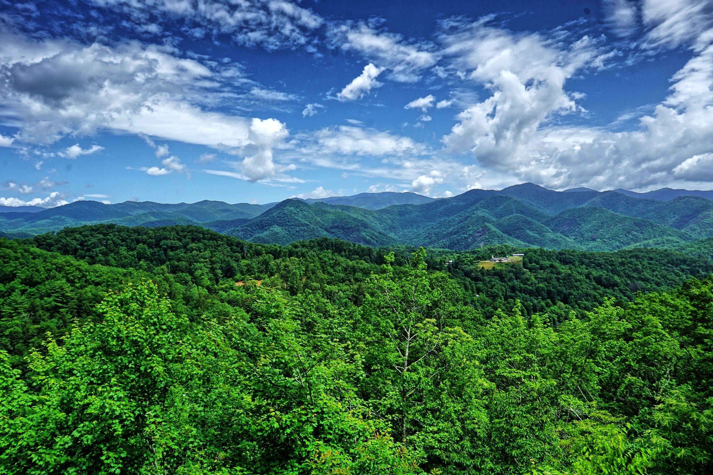 Eine Berglandschaft mit dichtem Wald und blauem Himmel.