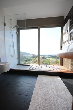 Shower, hair dryer, towels