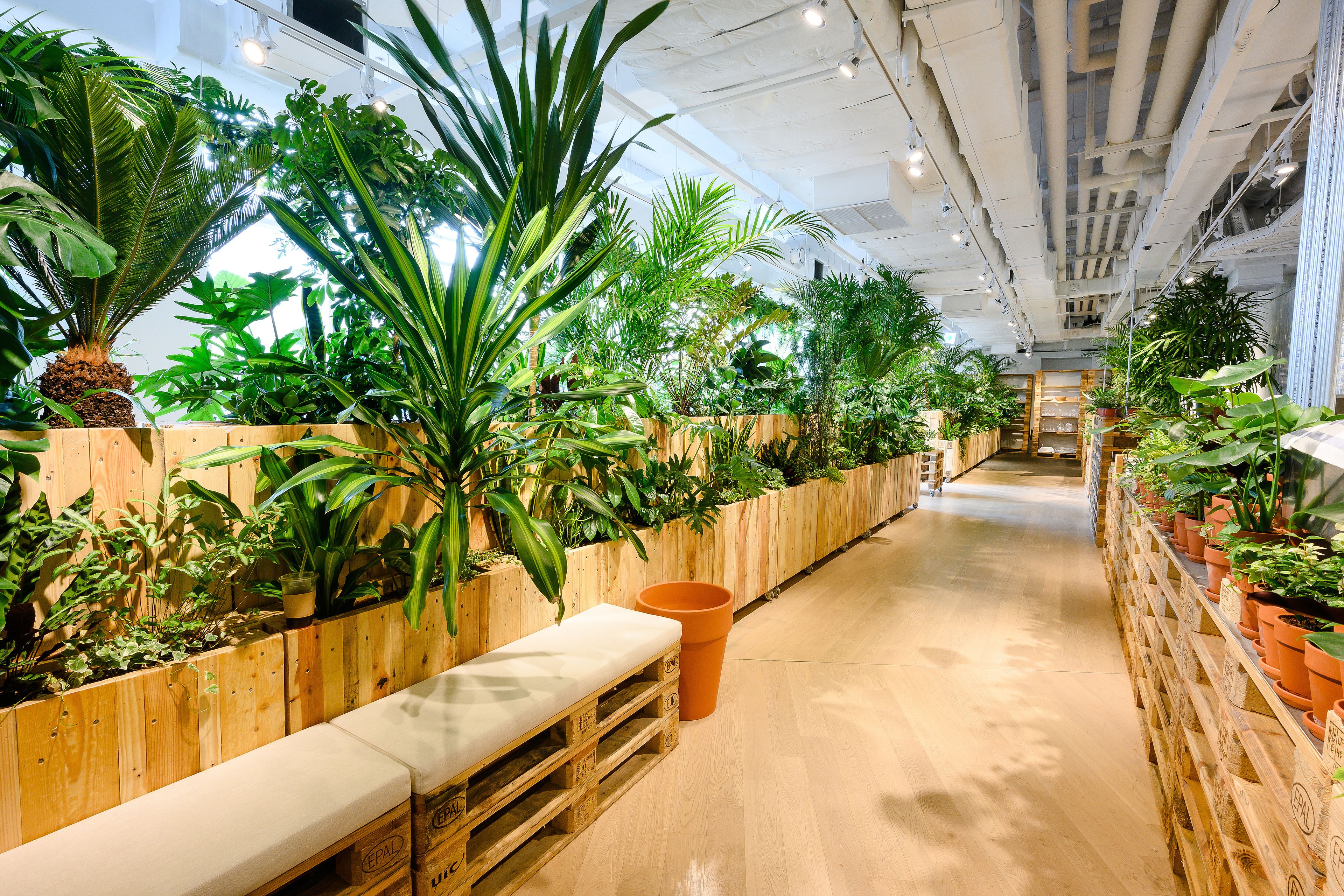 Sarapan prasmanan setiap hari (KRW 18000 per orang)