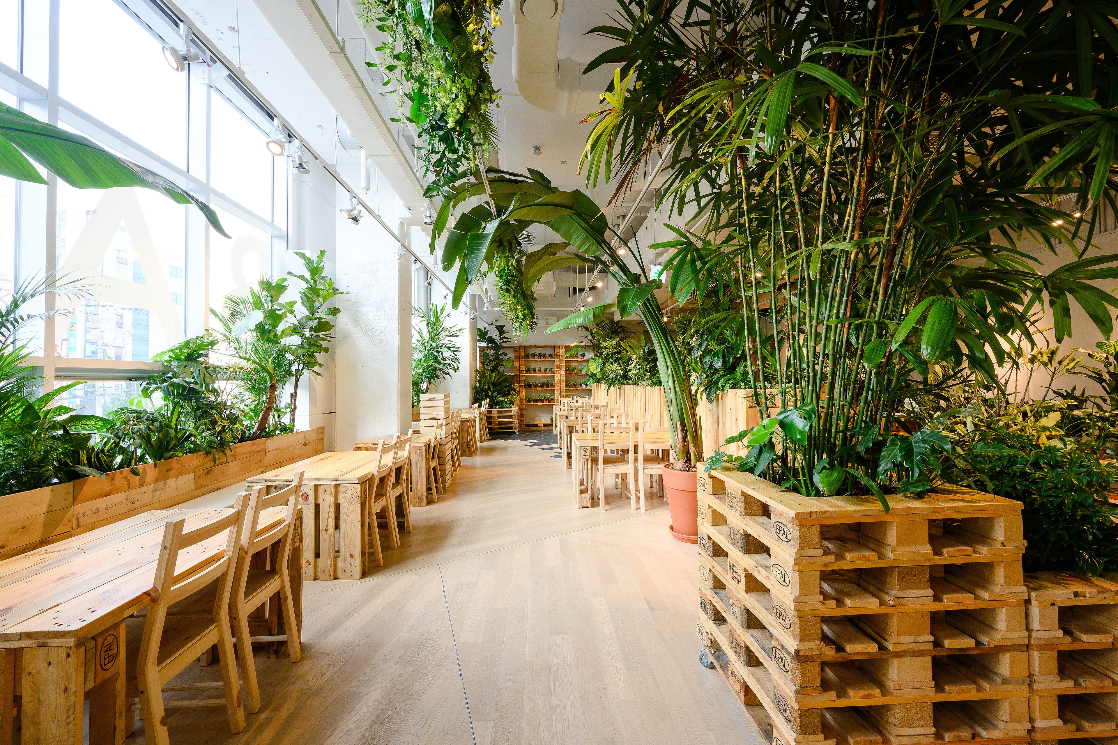 Petit déjeuner buffet (18000 KRW par personne)