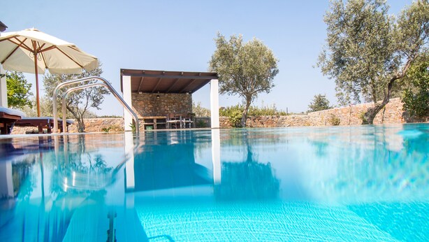 A clear blue pool with a diving board, lounge chairs, and a stone wall in the background.