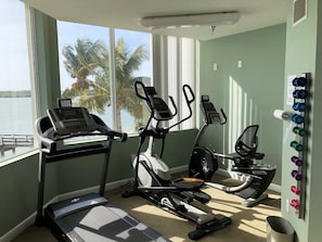 A home gym with a treadmill, elliptical, and stationary bike, overlooking a lake with palm trees.
