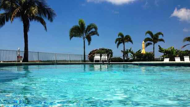 A clear swimming pool with a fenced area, palm trees, and a lifeguard chair.