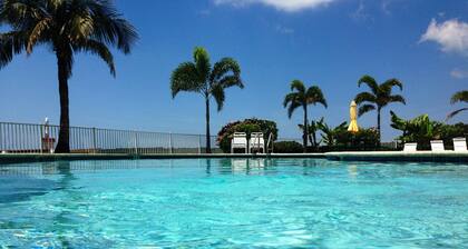 See dolphins from the balcony! Hot tub and pool. Renovated & fully equipped.#410