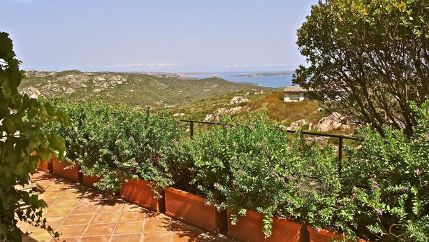 Un vignoble avec des rangées de vignes, une terrasse carrelée et une vue sur le paysage environnant.