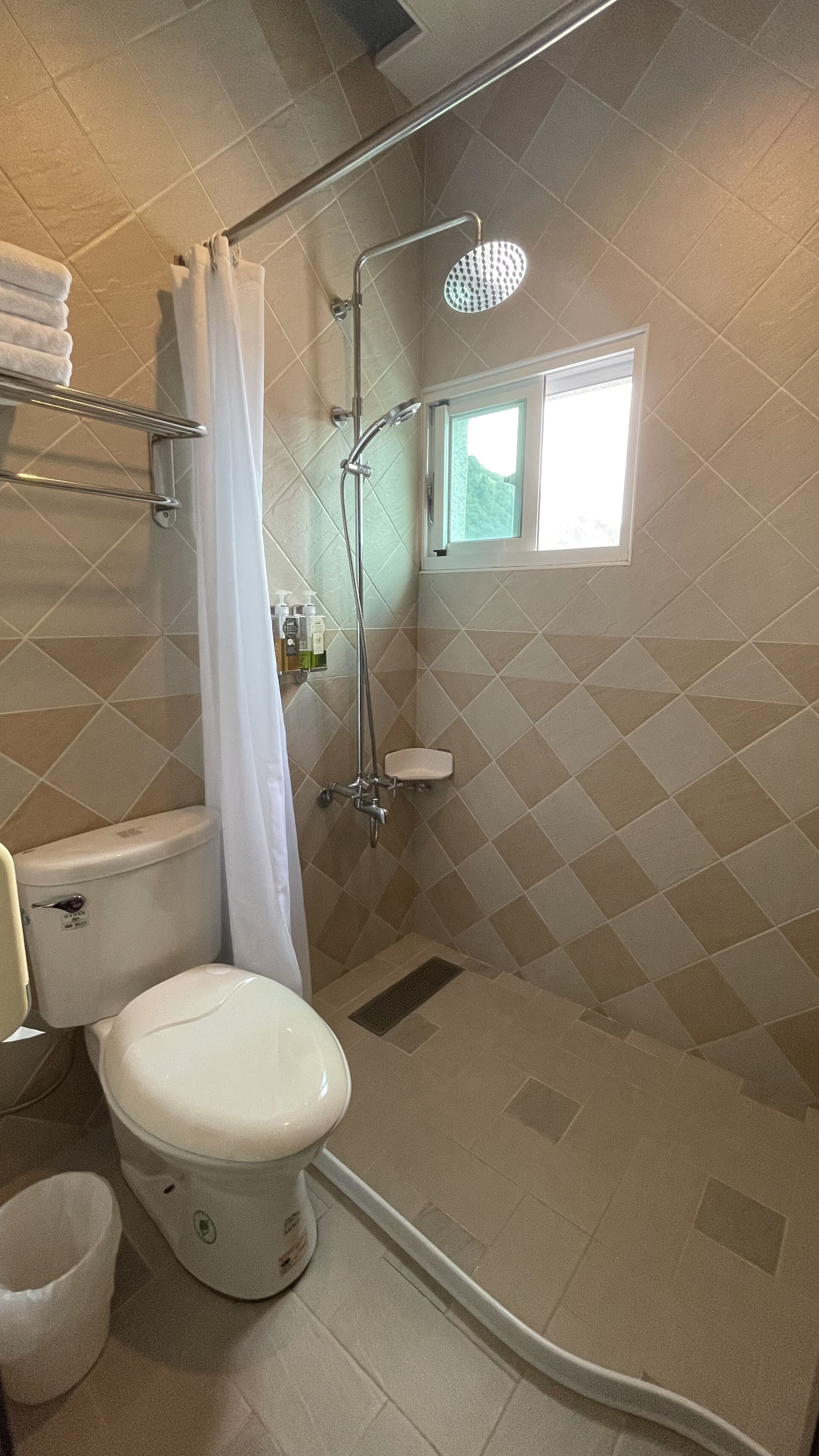 A bathroom with a toilet, shower, and a window.