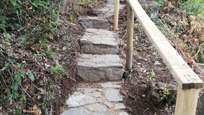 A stone staircase with wooden railings in a forested area. - Rustic Barn Cabin  (Pucon)