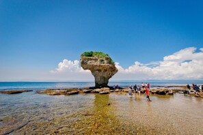 ใกล้ชายหาด