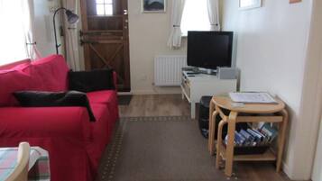 Smart TV, DVD player, books, stereo