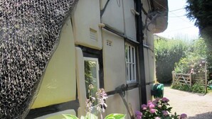 Un edificio con facciata gialla, una finestra e una porta. Piante e fiori adornano la facciata.