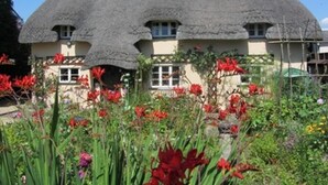 Una casa con tetto di paglia, diverse finestre e un giardino con fiori rossi.