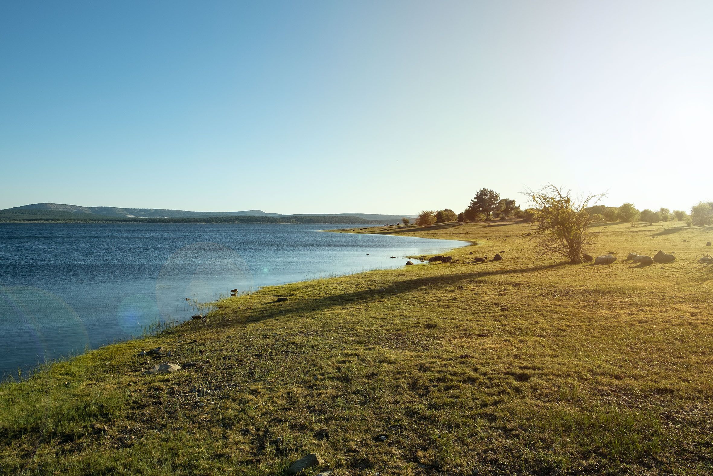 A lakeside view with grassy banks, trees, and distant hills.