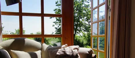 Télévision, cheminée