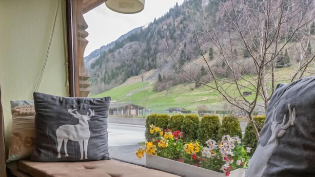 Asiento junto a la ventana con un cojín que tiene un diseño de ciervo, una maceta con flores de colores y vistas a un paisaje montañoso.