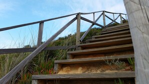 A wooden staircase with a handrail, surrounded by natural vegetation.