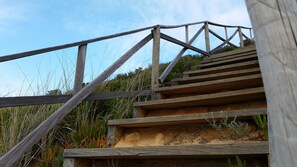 Property grounds - Falésia House - Galé Beach - Melides (Melides)