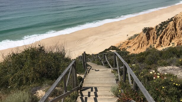 A wooden staircase leading to a beach with clear skies.