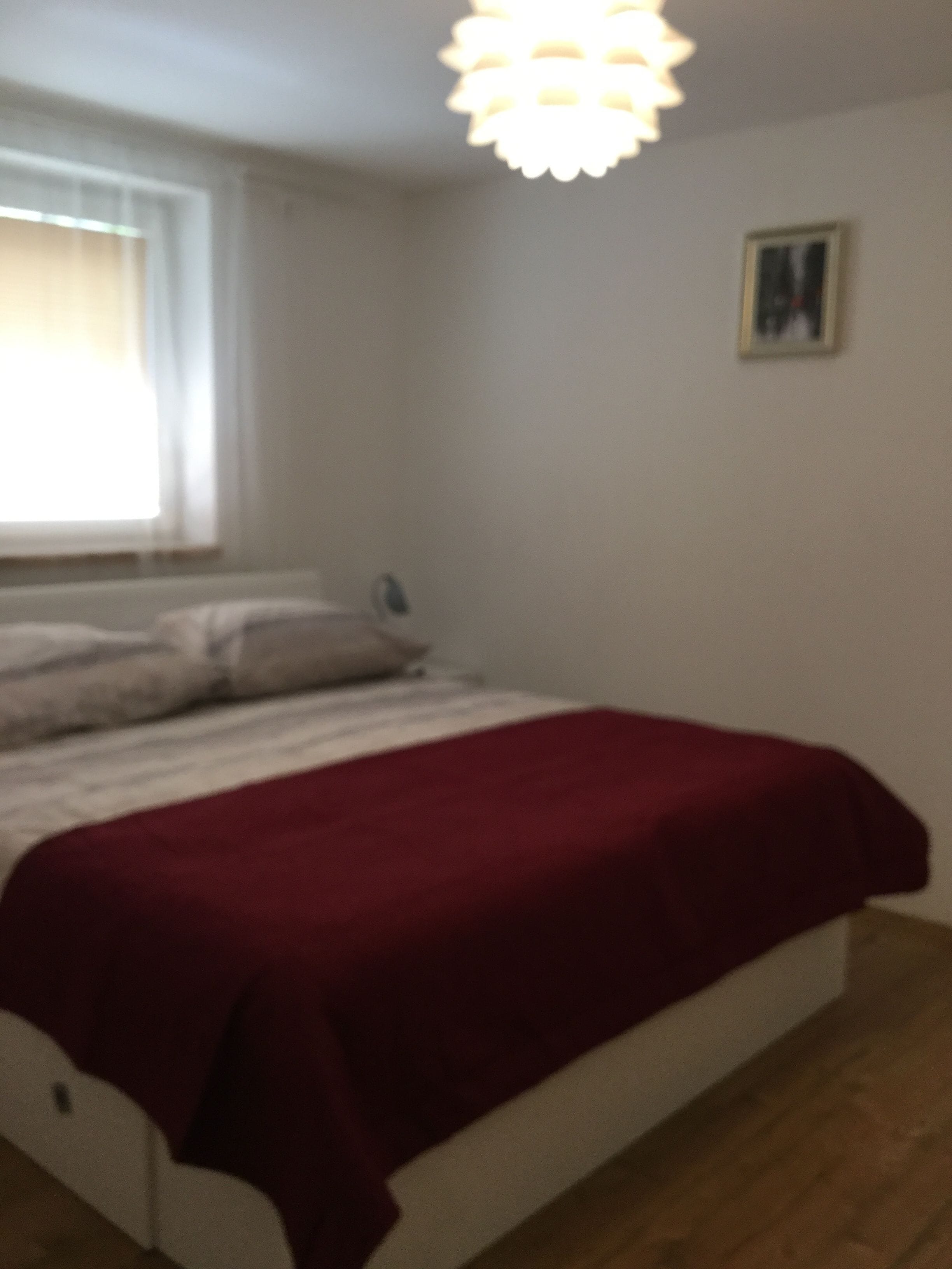 Een slaapkamer met een bed, een raam, een aan de muur hangend schilderij en een plafondlamp.