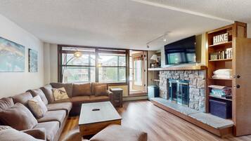 TV, fireplace, DVD player