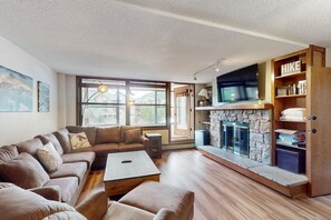 Televisión, chimenea y reproductor de DVD