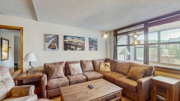 TV, fireplace, books