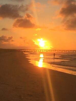 Beach nearby, sun loungers - 2 Rooftop decks, pool/elevator. Downtown IOP, 1 blk from beach. Pet friendly! (Isle of Palms)