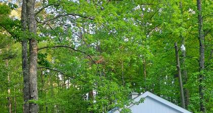 Southern cabin, bunkhouse, pet friendly close to town yet completely secluded!