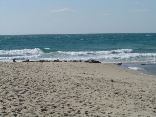 Splash in a new pool or chill at the beach but don't sit in Traffic!!