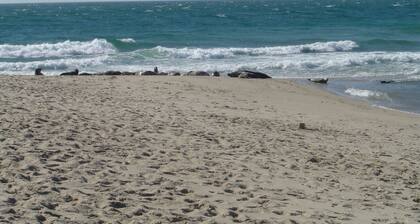 Splash in a new pool or chill at the beach but don't sit in Traffic!!