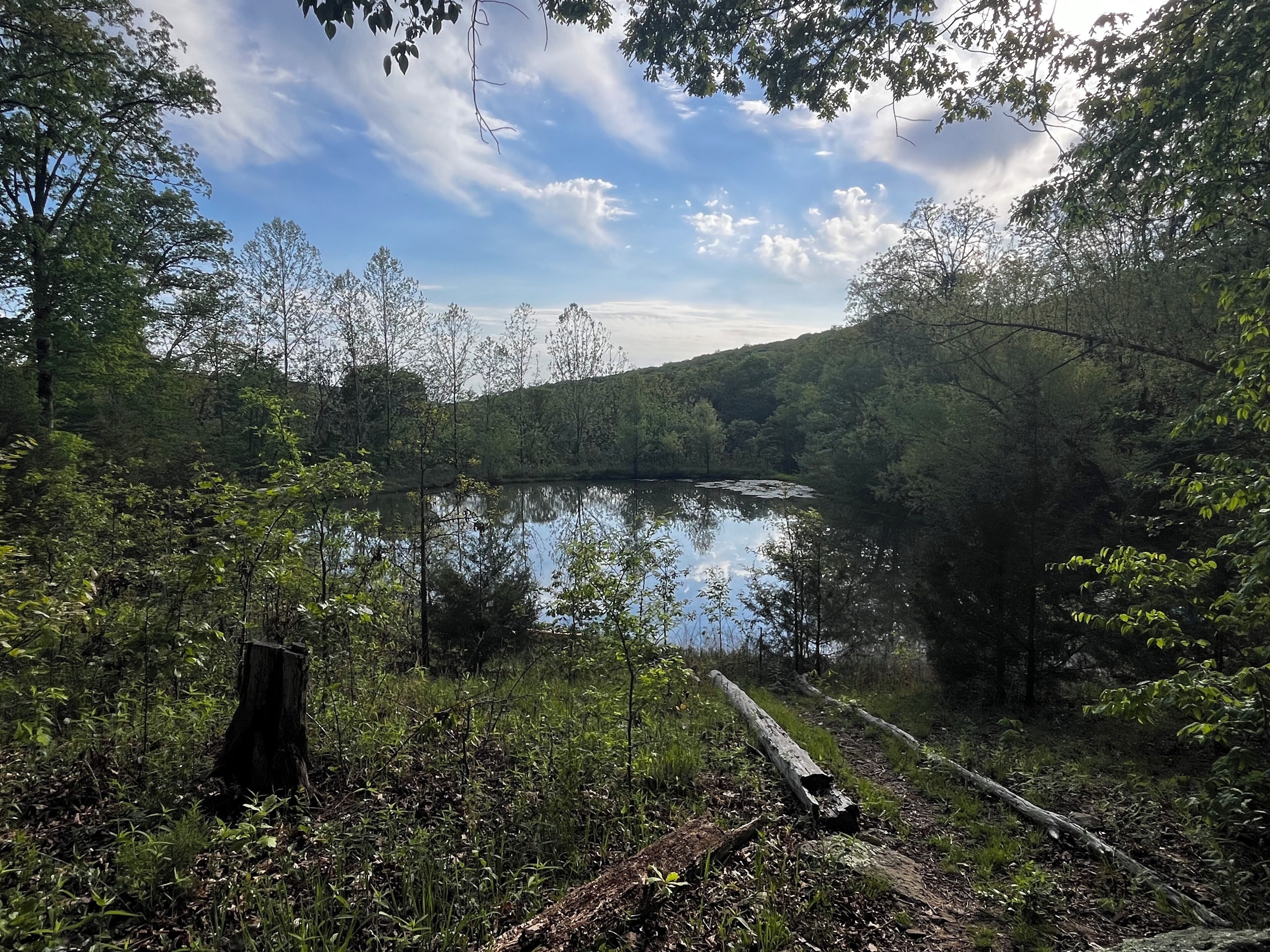 2 bedrooms, travel crib, free WiFi, bed sheets