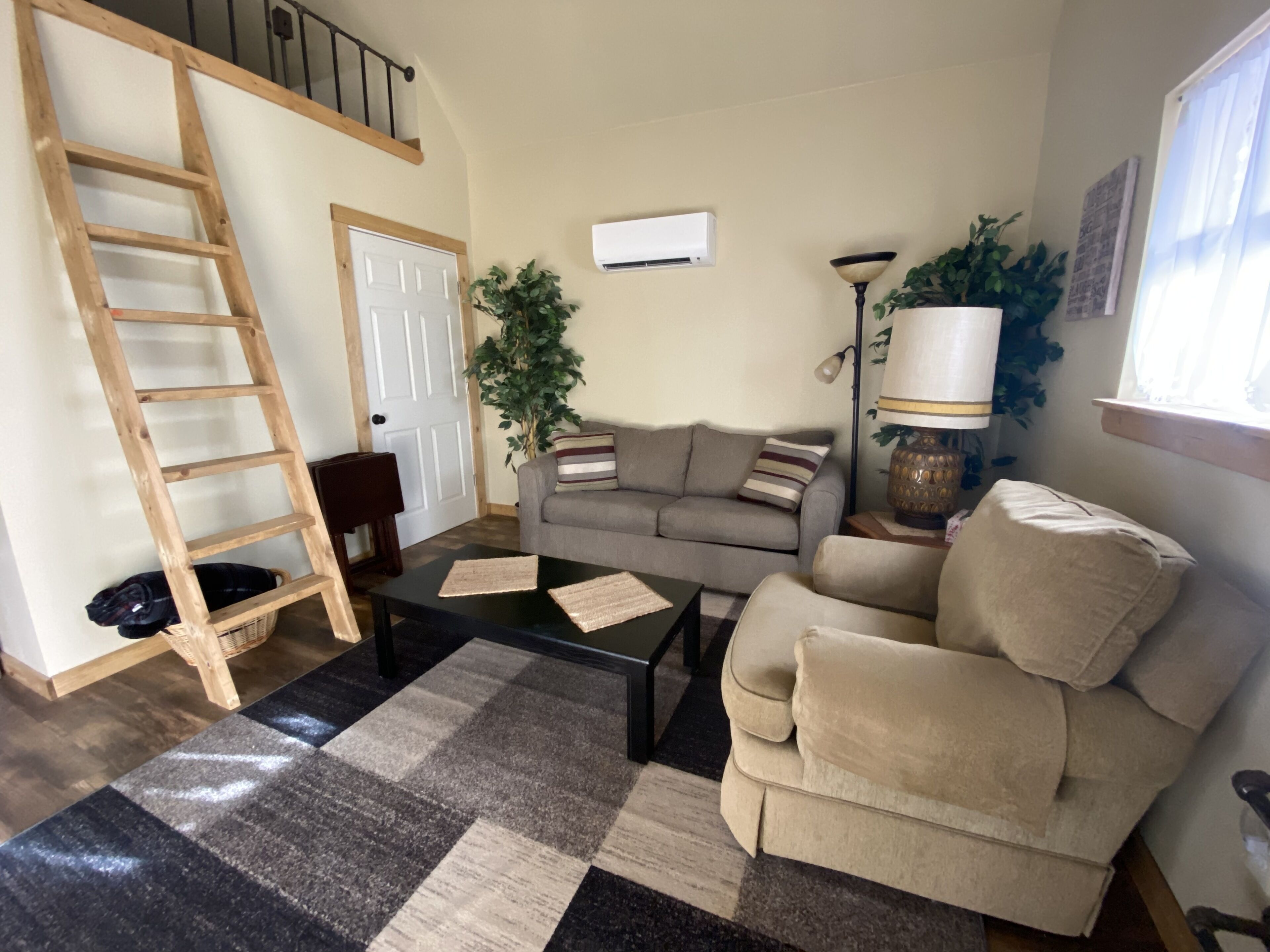 Televisor intel·ligent, reproductor de DVD i llibres 