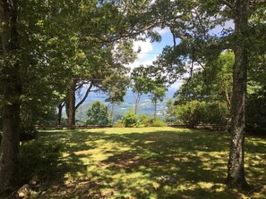 Front yard mountain view through the trees