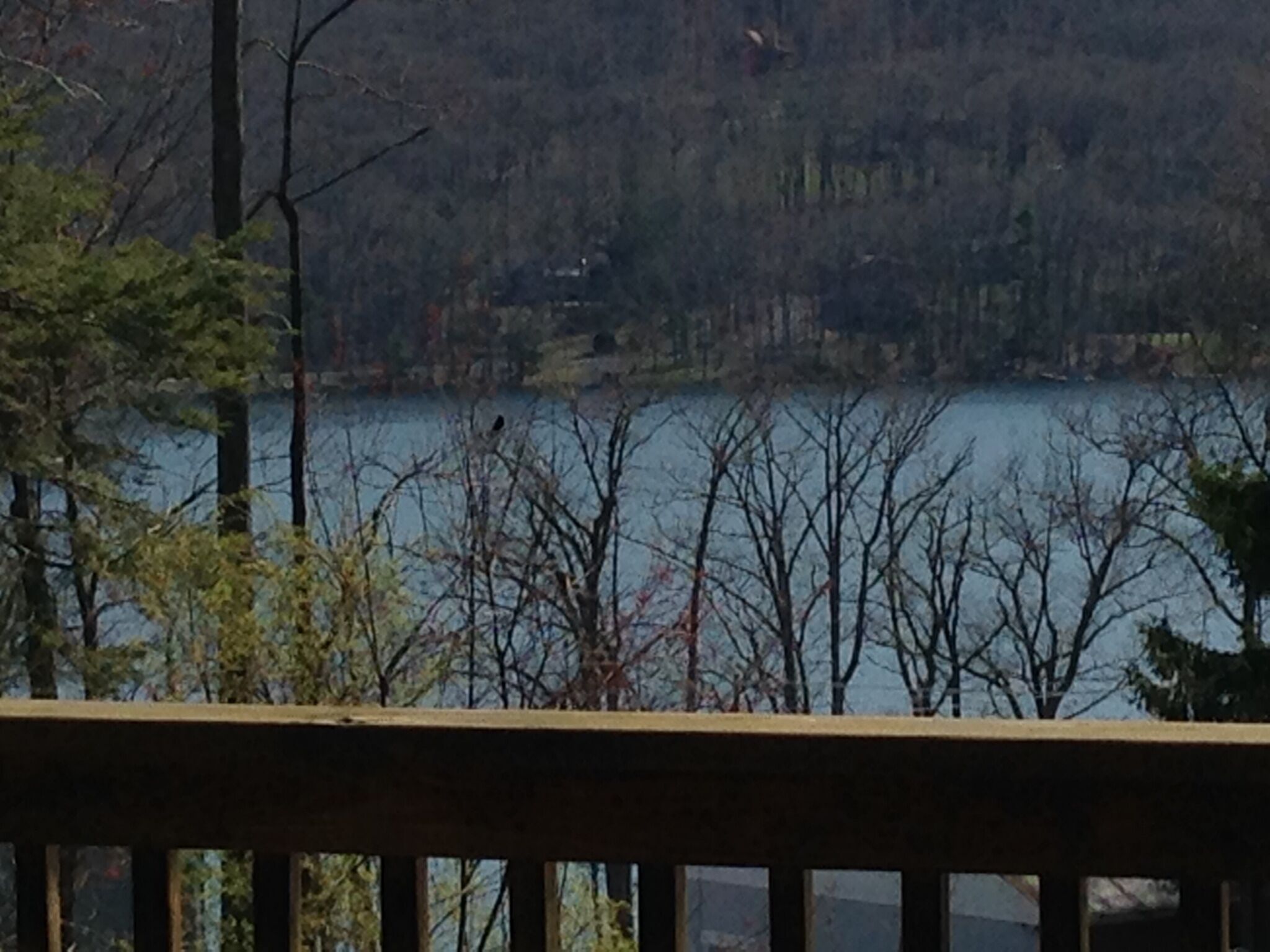 Top 7 Lake Cabin Rentals In Maryland, USA Trip101