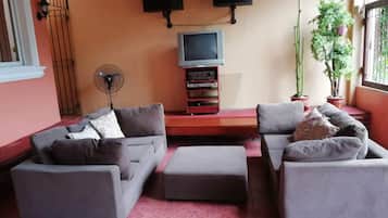 Televisión, Netflix y servicios de streaming