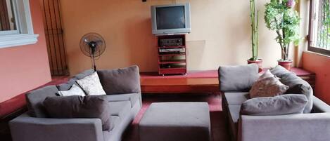 Télévision, Netflix, services de streaming