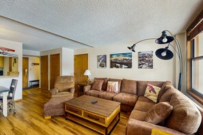 TV, fireplace, books
