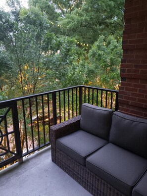 Property grounds - LUXURY MAIN ST. CONDO WITH BALCONY (Greenville)