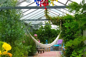 Property grounds - Greenhouse on 3000m2 private nature area nearby the dunes 3km from the sea (Bergen)