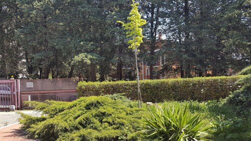 At the writer's house - To the writer's house