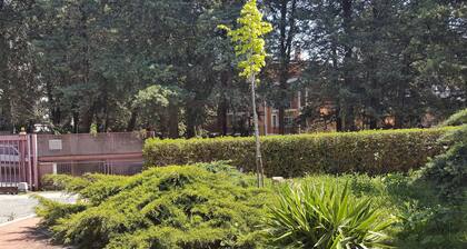 At the writer's house - To the writer's house