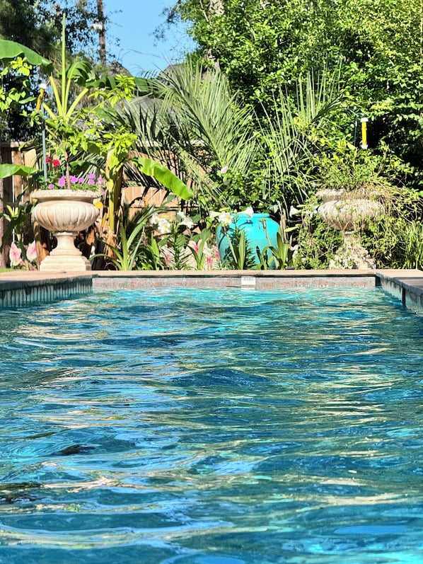 A swimming pool surrounded by lush greenery and various plants. - Indulge in Private Luxury: Gourmet Kitchen, Upscale Amenities (Houston)