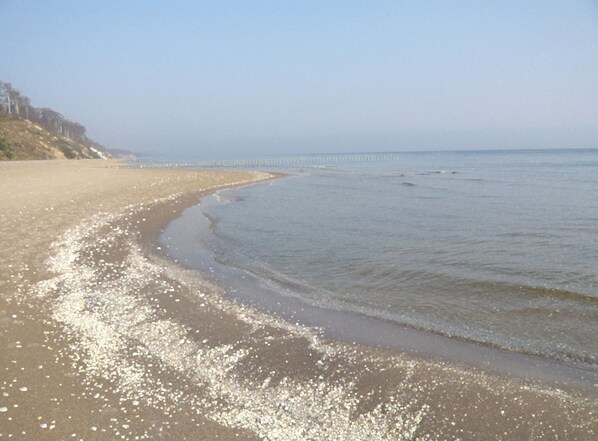 Beach nearby, sun loungers - We rent out a home - the 8erwassereck for family, friends, fur nose (Ückeritz)