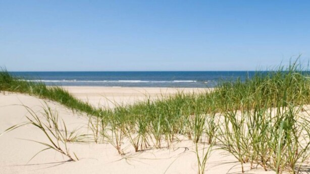 Een strand met zand en gras op de voorgrond, dat overloopt in de oceaan.