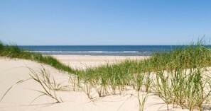 Tæt på stranden