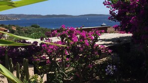 Uitzicht op de kust met een tuin met paarse bougainvillea bloemen, een stenen muur en een zeilboot in de verte op zee.