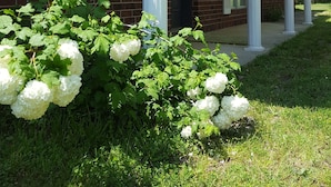 A brick house with a covered porch and white columns. - Backyard splendor!!! (Story)