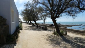 Un paseo marítimo con un sendero de arena, árboles y vista al mar.