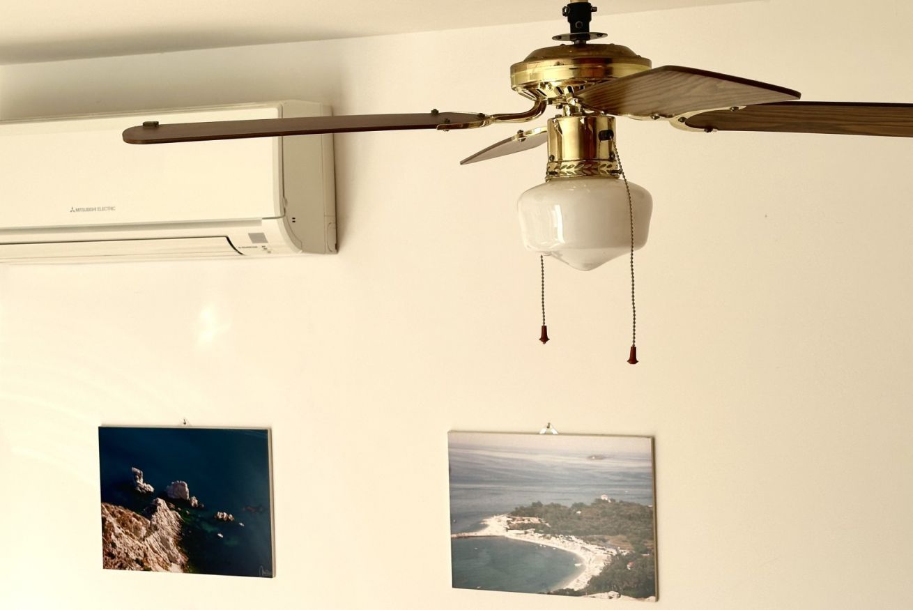 A ceiling fan with a light fixture and two framed photographs on the wall.